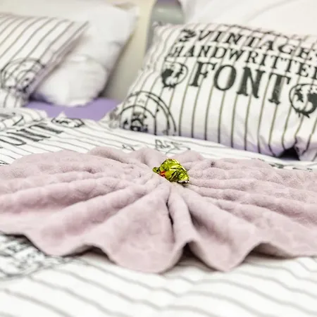 公寓 Majo Apartma Punta 皮兰