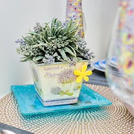 Majo Apartma Punta 아파트 *